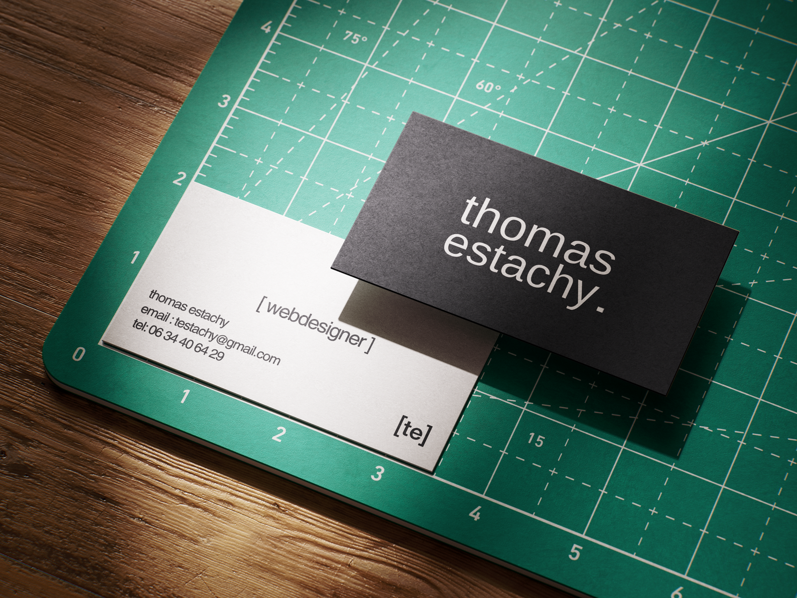 Portfolio — Shot 2